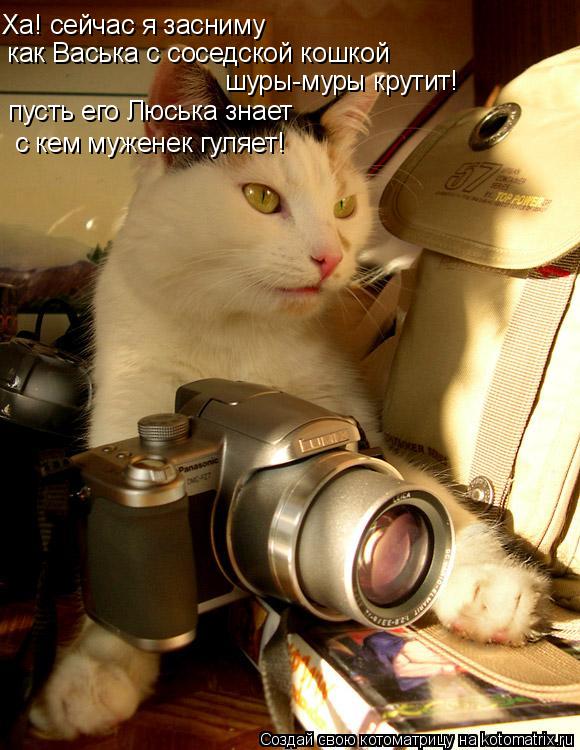 Ха! сейчас я засниму как Васька с соседской кошкой шуры-муры крутит! пусть его Люська знает с кем м... Котоматрица: Ха! сейчас я засниму как Васька с соседской кошкой шуры-муры крутит! пусть его Люська знает с кем муженек гуляет!