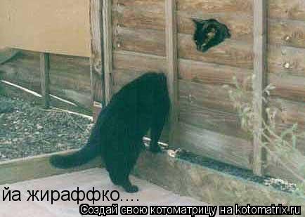 йа жираффко....... Котоматрица: йа жираффко....