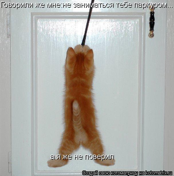 Говорили же мне:не заниматься тебе паркуром... а я же не поверил... Котоматрица: Говорили же мне:не заниматься тебе паркуром... а я же не поверил