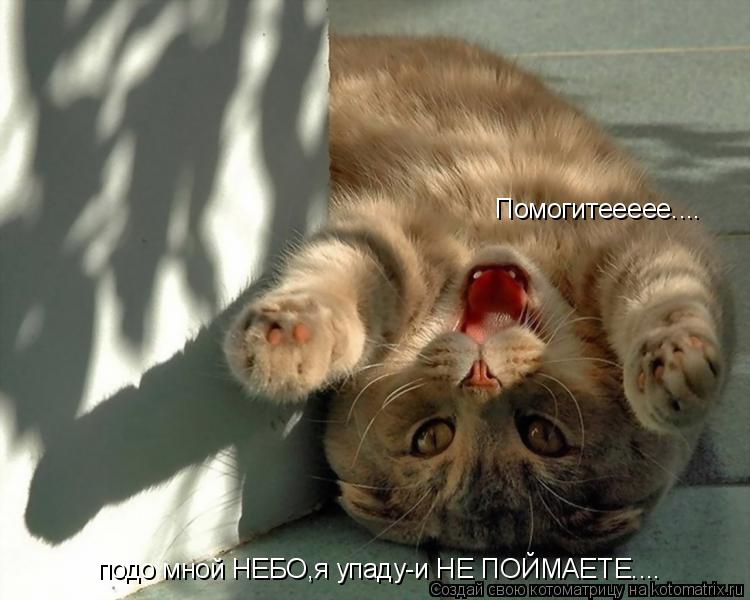 Помогитеееее.... подо мной НЕБО,я упаду-и НЕ ПОЙМАЕТЕ....... Котоматрица: Помогитеееее.... подо мной НЕБО,я упаду-и НЕ ПОЙМАЕТЕ....