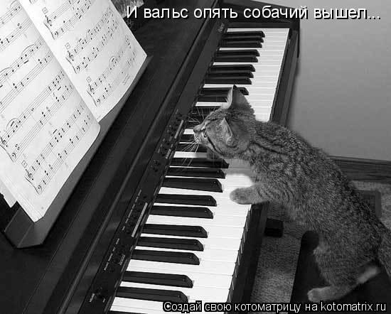 И вальс опять собачий вышел...... Котоматрица: И вальс опять собачий вышел...
