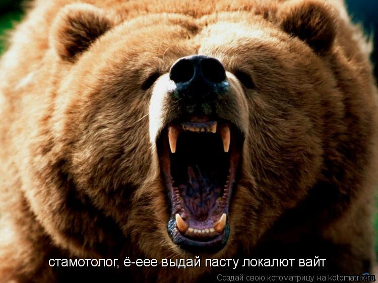стамотолог, ё-еее выдай пасту локалют вайт... Котоматрица: стамотолог, ё-еее выдай пасту локалют вайт