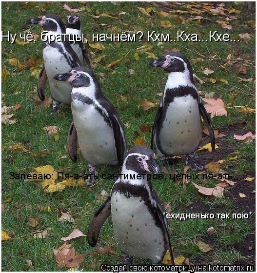 Ну чё, братцы, начнём? Кхм..Кха...Кхе... Запеваю: Пя-а-ать сантиметров, целых пя-ать.... *ехидненько ... Котоматрица: Ну чё, братцы, начнём? Кхм..Кха...Кхе... Запеваю: Пя-а-ать сантиметров, целых пя-ать.... *ехидненько так пою*