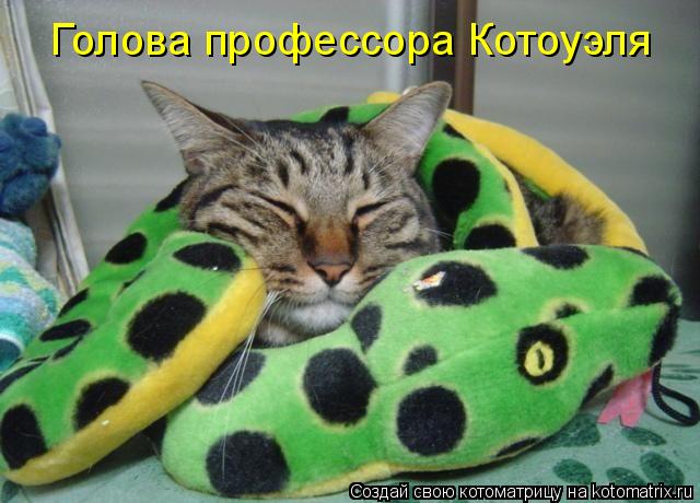 Голова профессора Котоуэля... Котоматрица: Голова профессора Котоуэля