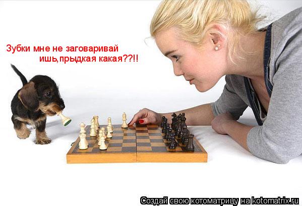 Зубки мне не заговаривай ишь,прыдкая какая??!!... Котоматрица: Зубки мне не заговаривай ишь,прыдкая какая??!!