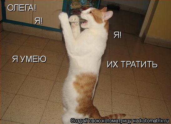 ОЛЕГА! Я! Я! Я УМЕЮ ИХ ТРАТИТЬ... Котоматрица: ОЛЕГА! Я! Я! Я УМЕЮ ИХ ТРАТИТЬ