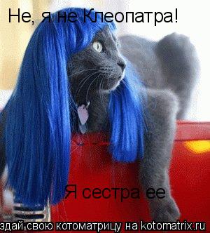 Котоматрица: Не, я не Клеопатра! Я сестра ее