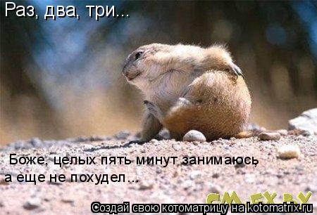 Раз, два, три... Боже, целых пять минут занимаюсь а еще не похудел... ,... Котоматрица: Раз, два, три... Боже, целых пять минут занимаюсь а еще не похудел... ,