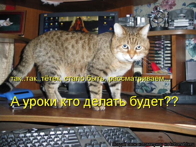 так..так..тётек, стало быть, рассматриваем... А уроки кто делать будет??... Котоматрица: так..так..тётек, стало быть, рассматриваем... А уроки кто делать будет??