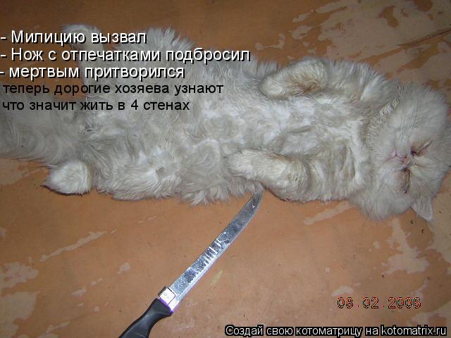 - Милицию вызвал - Нож с отпечатками подбросил - мертвым притворился теперь дорогие хозяева узнают чт... Котоматрица: - Милицию вызвал - Нож с отпечатками подбросил - мертвым притворился теперь дорогие хозяева узнают что значит жить в 4 стенах