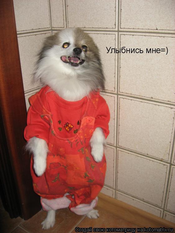 Улыбнись мне=)... Котоматрица: Улыбнись мне=)