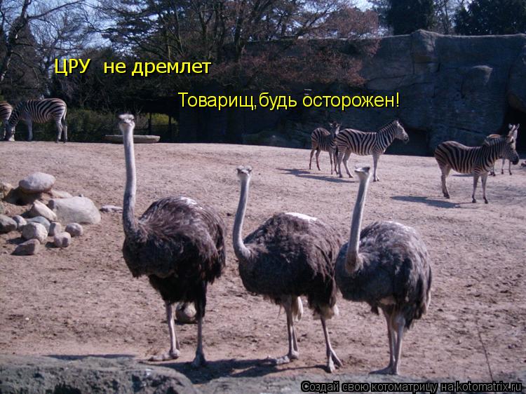 ЦРУ не дремлет Товарищ,будь осторожен!... Котоматрица: ЦРУ не дремлет Товарищ,будь осторожен!