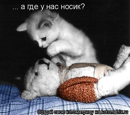 Котоматрица: ... а где у нас носик?