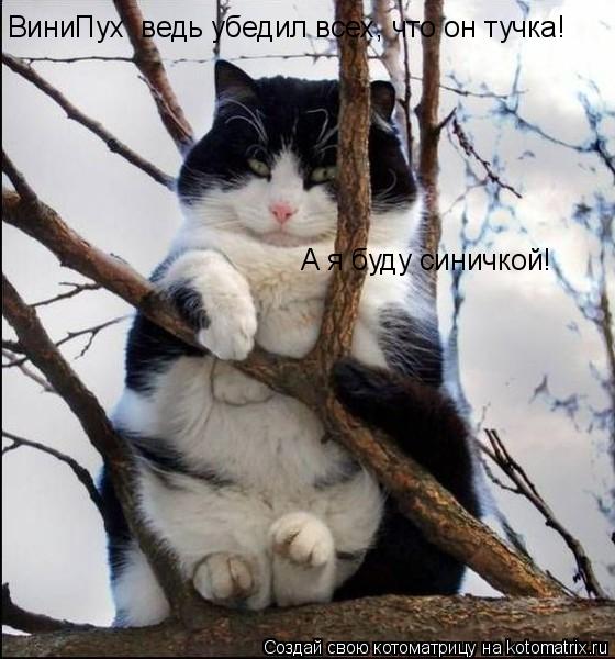 ВиниПух ведь убедил всех, что он тучка! А я буду синичкой!... Котоматрица: ВиниПух ведь убедил всех, что он тучка! А я буду синичкой!