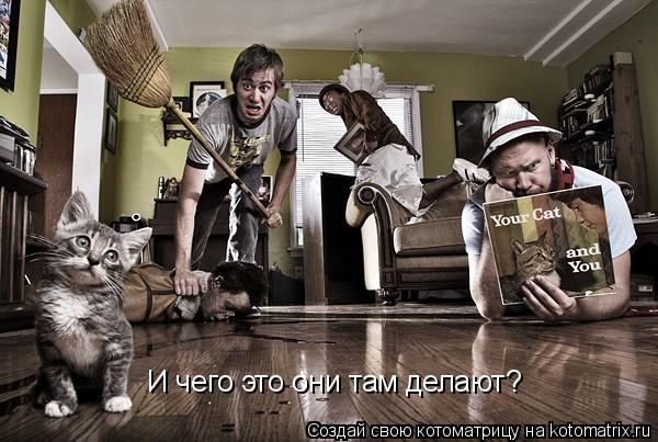 И чего это они там делают?... Котоматрица: И чего это они там делают?