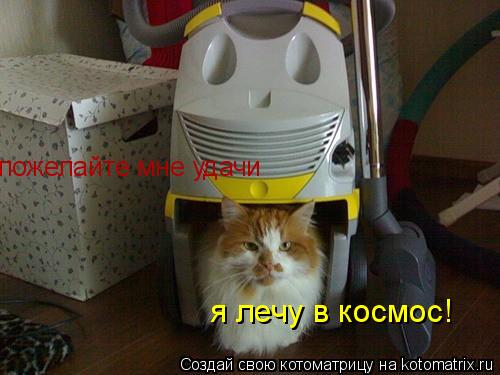 пожелайте мне удачи я лечу в космос!... Котоматрица: пожелайте мне удачи я лечу в космос!