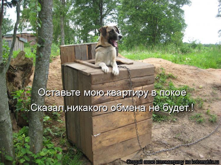 Котоматрица: Оставьте мою квартиру в покое ..Сказал,никакого обмена не будет.!
