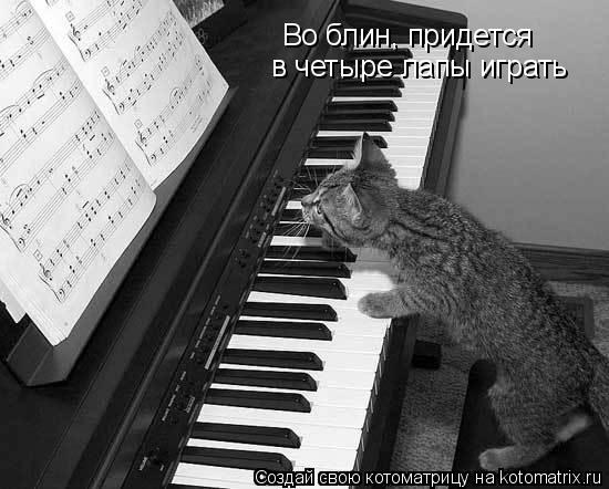 Котоматрица: Во блин, придется в четыре лапы играть