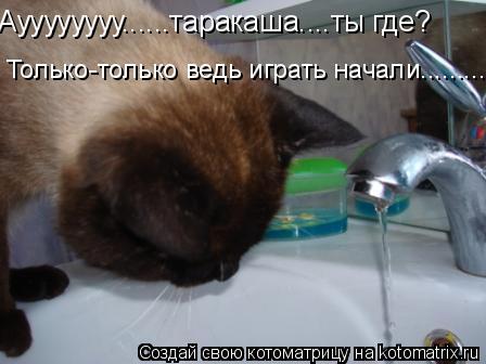 Ауууууууу......таракаша....ты где? Только-только ведь играть начали............... Котоматрица: Ауууууууу......таракаша....ты где? Только-только ведь играть начали............