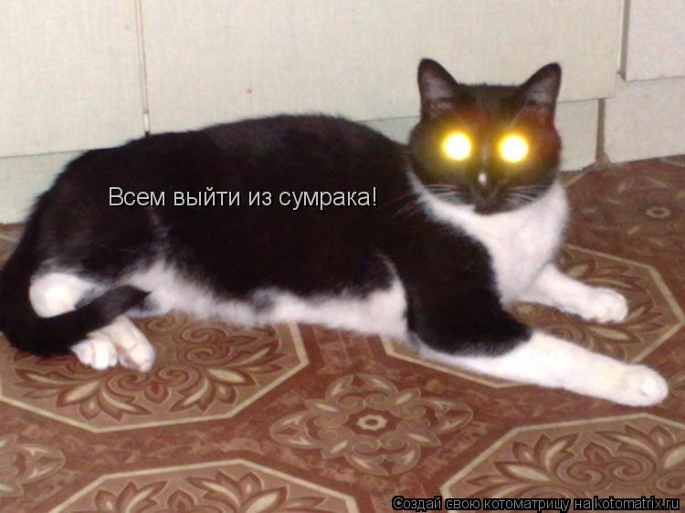 Всем выйти из сумрака!... Котоматрица: Всем выйти из сумрака!