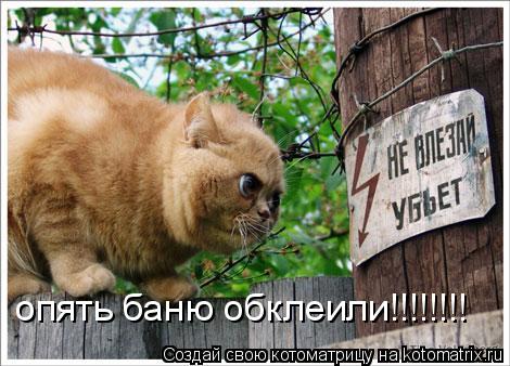 опять баню обклеили!!!!!!!!... Котоматрица: опять баню обклеили!!!!!!!!