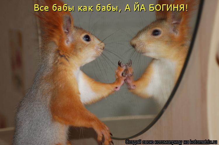 Все бабы как бабы, А ЙА БОГИНЯ!... Котоматрица: Все бабы как бабы, А ЙА БОГИНЯ!