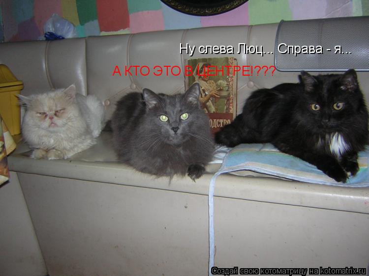 Ну слева Люц... Справа - я... Ну слева Люц... Справа - я... А КТО ЭТО В ЦЕНТРЕ!???... Котоматрица: Ну слева Люц... Справа - я... Ну слева Люц... Справа - я... А КТО ЭТО В ЦЕНТРЕ!???