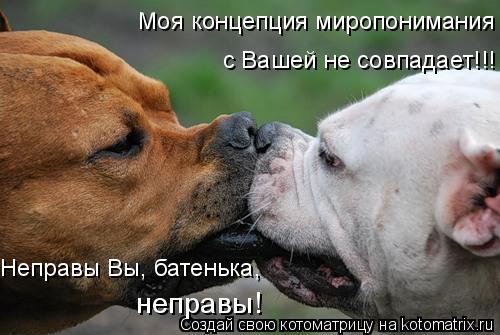 Моя концепция миропонимания с Вашей не совпадает!!! Неправы Вы, батенька, неправы!... Котоматрица: Моя концепция миропонимания с Вашей не совпадает!!! Неправы Вы, батенька, неправы!