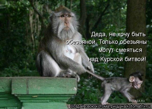 Деда, не хочу быть обезьяной. Только обезьяны могут смеяться над Курской битвой!... Котоматрица: Деда, не хочу быть обезьяной. Только обезьяны могут смеяться над Курской битвой!
