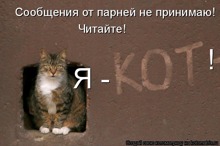 Котоматрица: Сообщения от парней не принимаю! Читайте! Я -  !