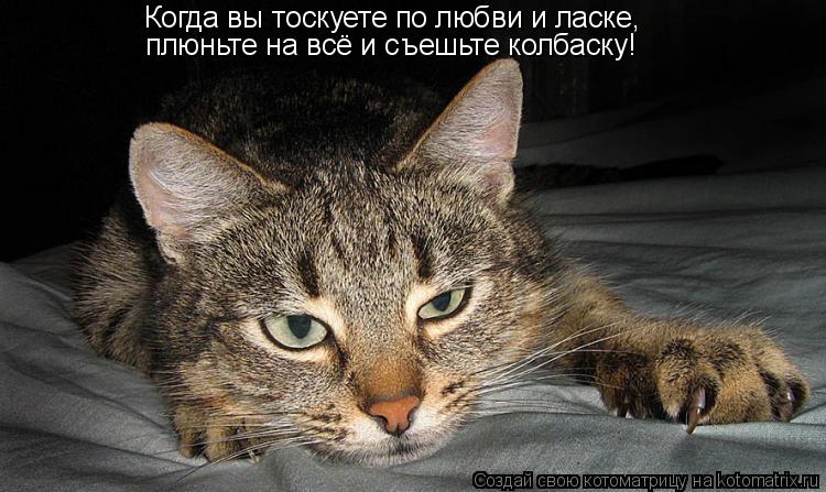 Котоматрица: Когда вы тоскуете по любви и ласке, плюньте на всё и съешьте колбаску!