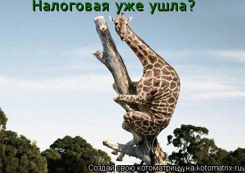 Налоговая уже ушла?... Котоматрица: Налоговая уже ушла?