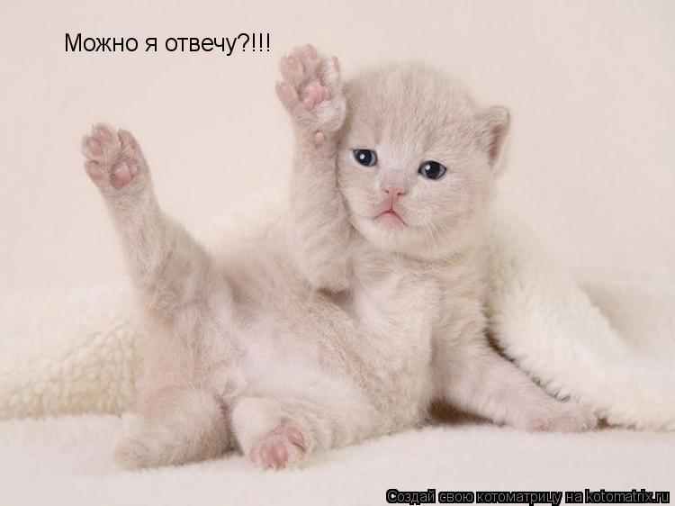 Можно я отвечу?!!!... Котоматрица: Можно я отвечу?!!!