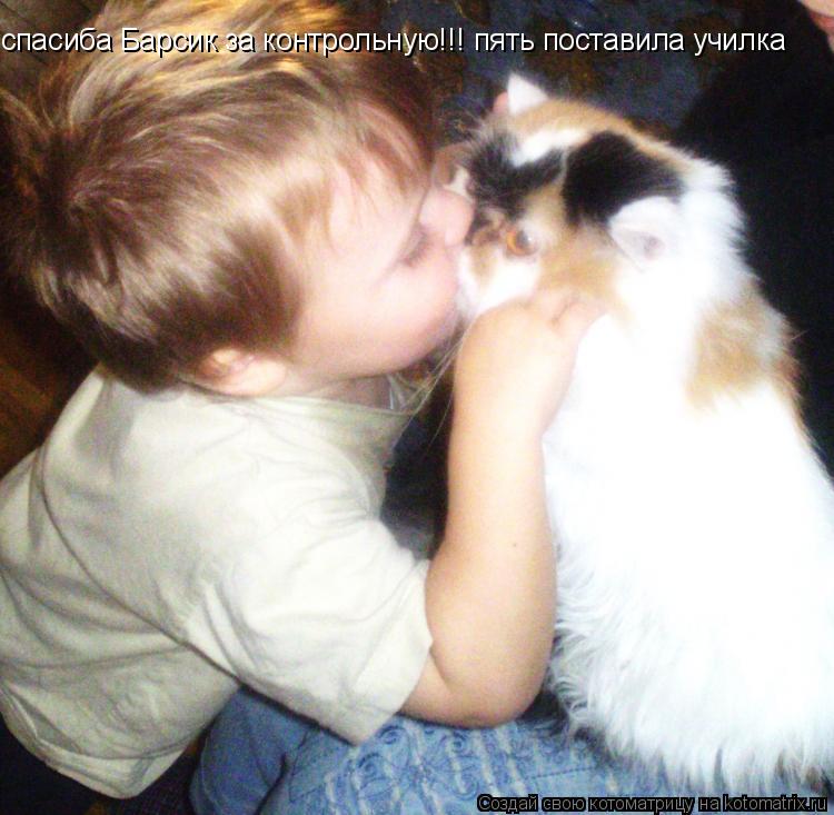 спасиба Барсик за контрольную!!! пять поставила училка... Котоматрица: спасиба Барсик за контрольную!!! пять поставила училка