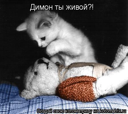 Димон ты живой?!... Котоматрица: Димон ты живой?!