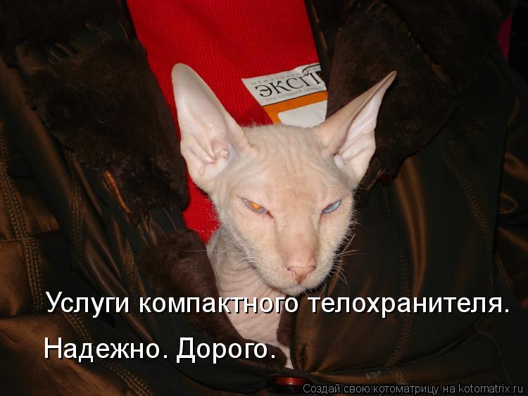Услуги компактного телохранителя. Надежно. Дорого.... Котоматрица: Услуги компактного телохранителя. Надежно. Дорого.