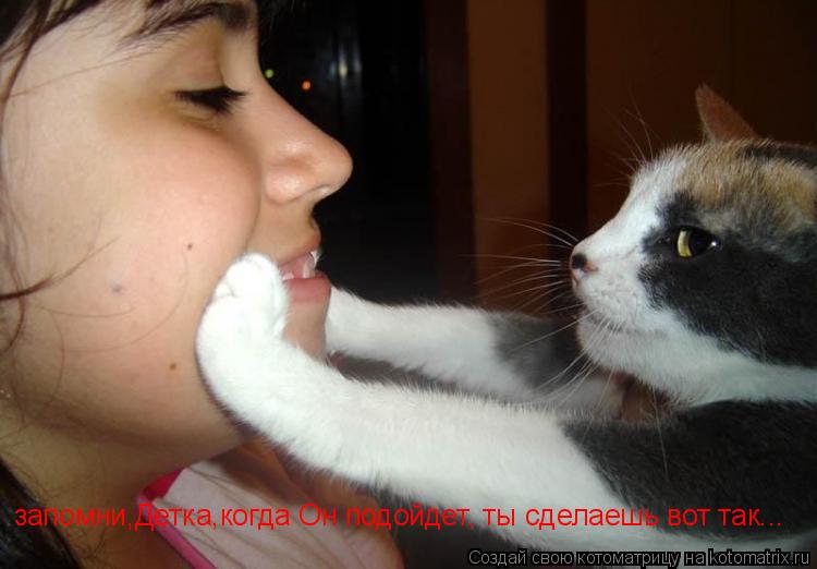 запомни,Детка,когда Он подойдет, ты сделаешь вот так...... Котоматрица: запомни,Детка,когда Он подойдет, ты сделаешь вот так...