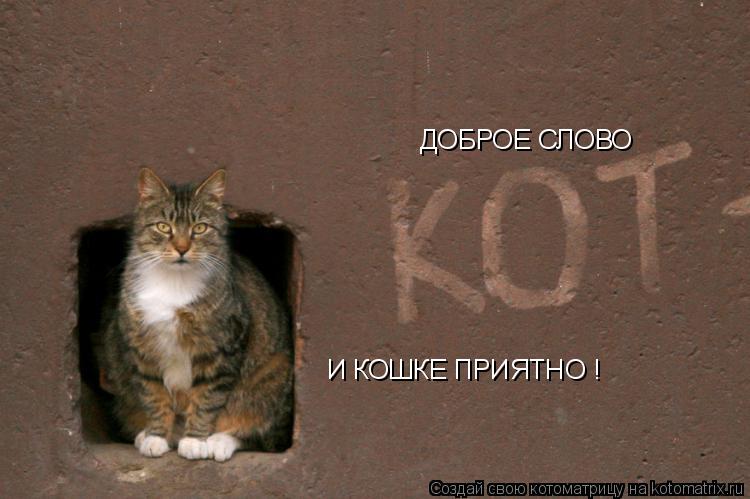 Котоматрица: И КОШКЕ ПРИЯТНО ! ДОБРОЕ СЛОВО