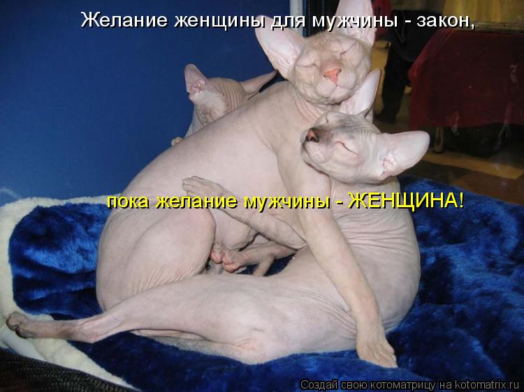 Желание женщины для мужчины - закон, пока желание мужчины - ЖЕНЩИНА!... Котоматрица: Желание женщины для мужчины - закон, пока желание мужчины - ЖЕНЩИНА!