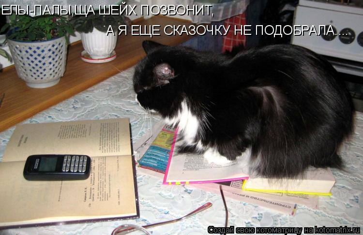 ЕЛЫ-ПАЛЫ,ЩА ШЕЙХ ПОЗВОНИТ, А Я ЕЩЕ СКАЗОЧКУ НЕ ПОДОБРАЛА....... Котоматрица: ЕЛЫ-ПАЛЫ,ЩА ШЕЙХ ПОЗВОНИТ, А Я ЕЩЕ СКАЗОЧКУ НЕ ПОДОБРАЛА....