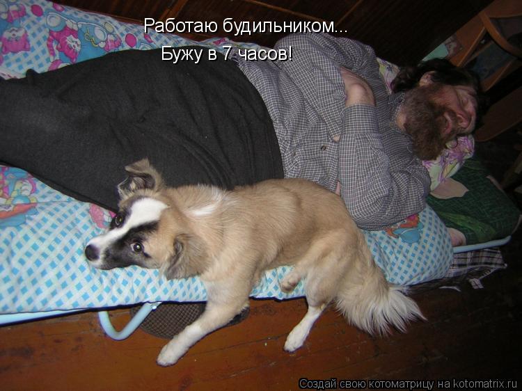 Работаю будильником... Бужу в 7 часов!... Котоматрица: Работаю будильником... Бужу в 7 часов!