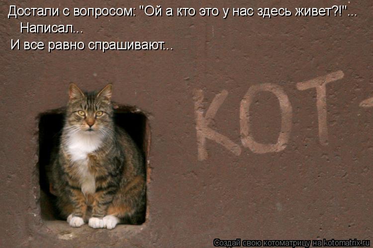 Котоматрица: Достали с вопросом: "Ой а кто это у нас здесь живет?!"...  Написал...  И все равно спрашивают...