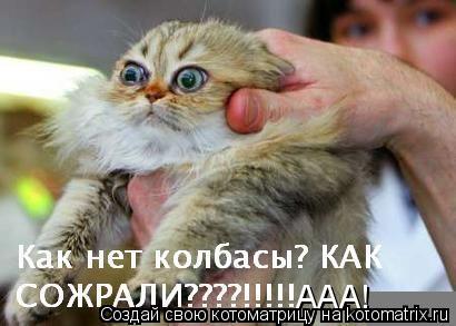 ААА!... Котоматрица: ААА!
