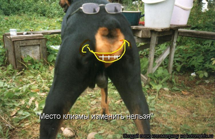 "Место клизмы изменить нельзя"... Котоматрица: "Место клизмы изменить нельзя"