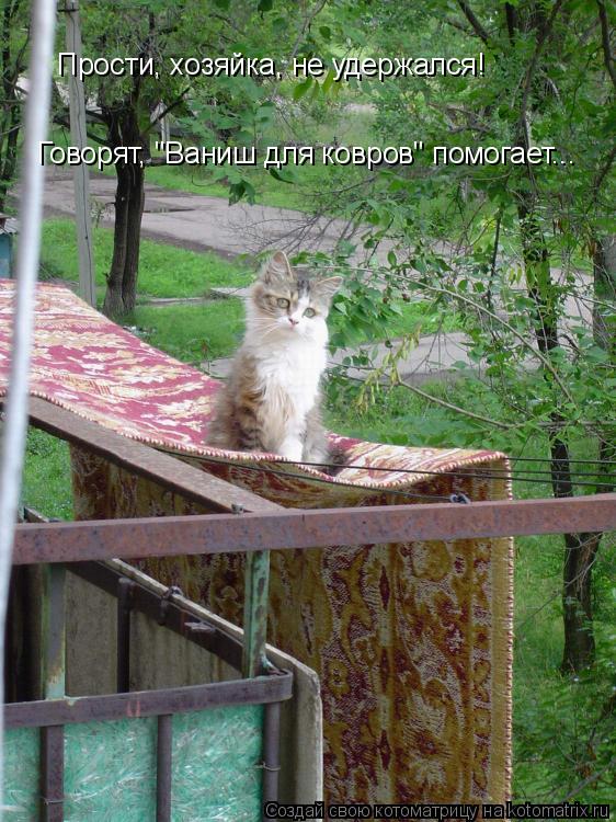 Прости, хозяйка, не удержался! Говорят, "Ваниш для ковров" помогает...... Котоматрица: Прости, хозяйка, не удержался! Говорят, "Ваниш для ковров" помогает...