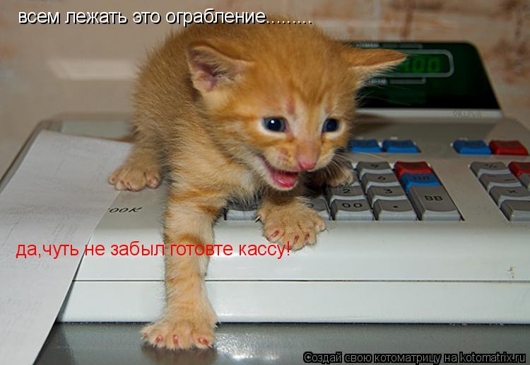 всем лежать это ограбление......... да,чуть не забыл готовте кассу!... Котоматрица: всем лежать это ограбление......... да,чуть не забыл готовте кассу!