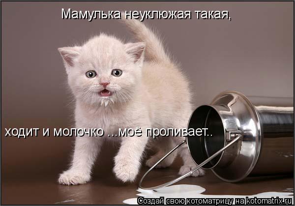 Мамулька неуклюжая такая, ходит и молочко ...моё проливает..... Котоматрица: Мамулька неуклюжая такая, ходит и молочко ...моё проливает..