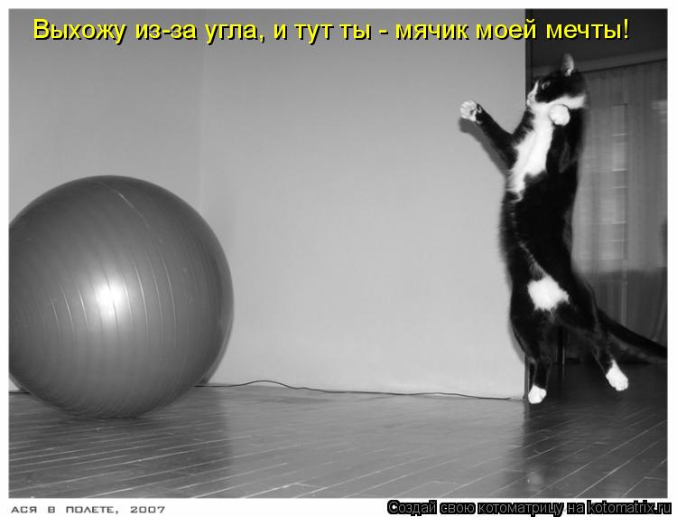 Котоматрица: Выхожу из-за угла, и тут ты - мячик моей мечты!
