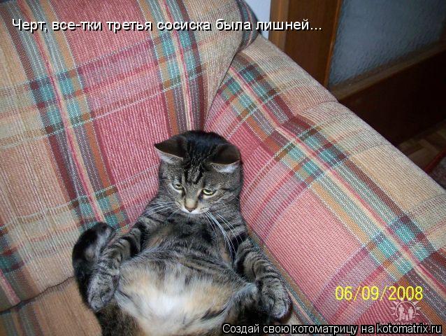 Черт, все-тки третья сосиска была лишней...... Котоматрица: Черт, все-тки третья сосиска была лишней...