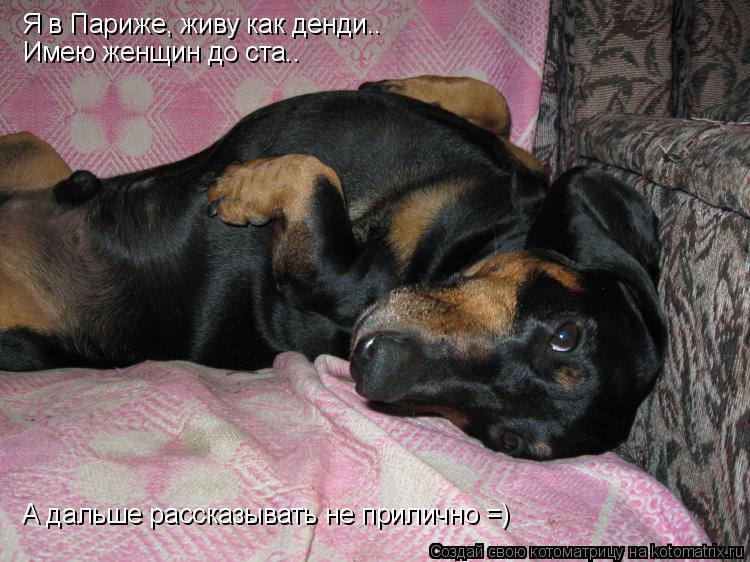 Я в Париже, живу как денди.. Имею женщин до ста.. А дальше рассказывать не прилично =)... Котоматрица: Я в Париже, живу как денди.. Имею женщин до ста.. А дальше рассказывать не прилично =)